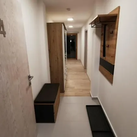 Christinenhof 4 Apartment Lofer
